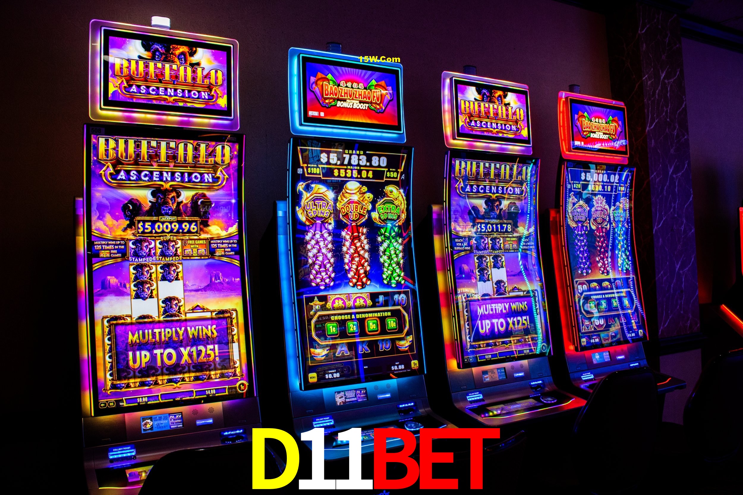Bonus Features D11Bet